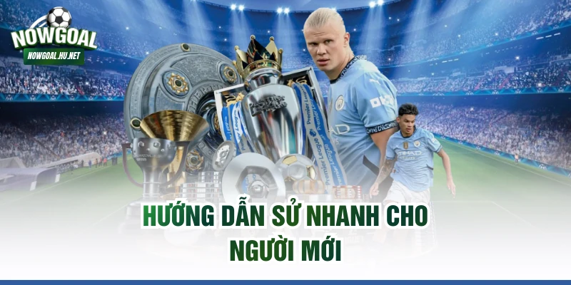 Hướng dẫn sử nhanh cho người mới