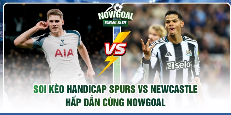 Soi kèo Handicap Spurs vs Newcastle
